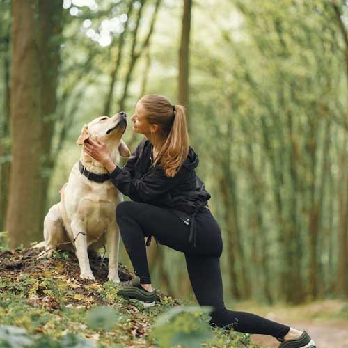 Статья Кариес у собак