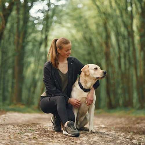 Кариес у собак