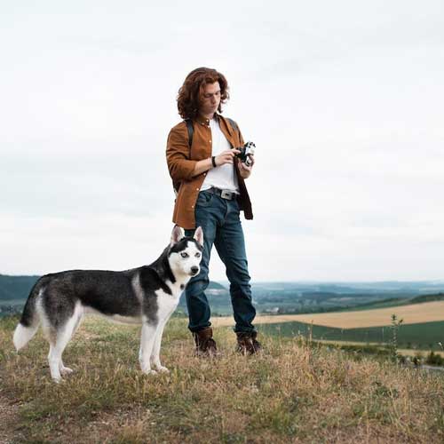 Статья Молочные зубы, которые не выпали у собак