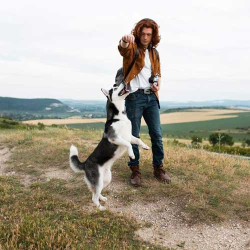 Молочные зубы, которые не выпали у собак