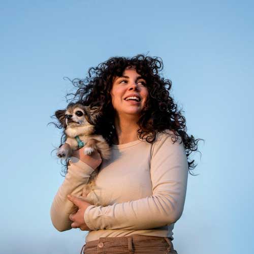 Статья Резорбция зубов у собак