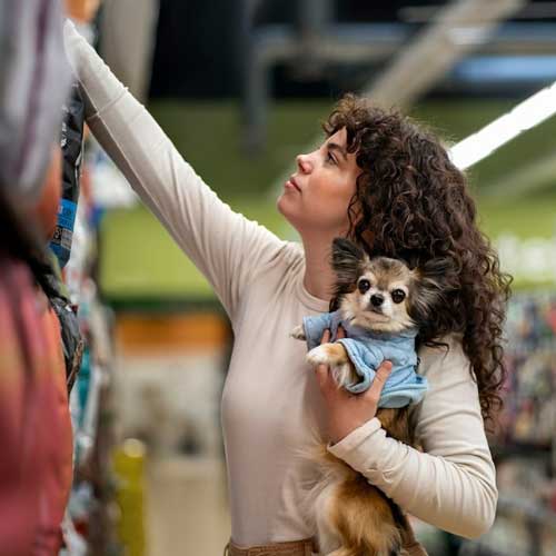 Резорбция зубов у собак