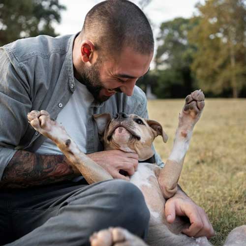 Статья Понимает ли собака человеческий язык