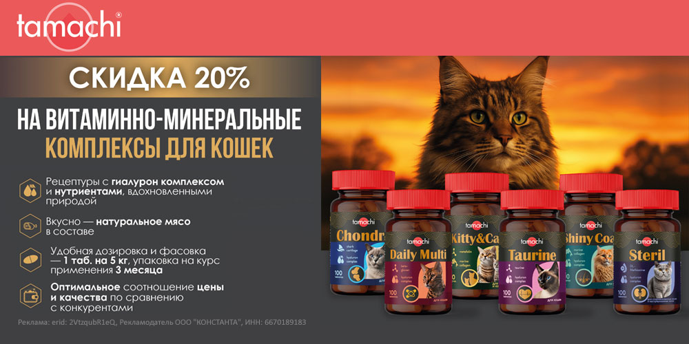 Акция на витамины TAMACHI для кошек и собак. Скидка 20%