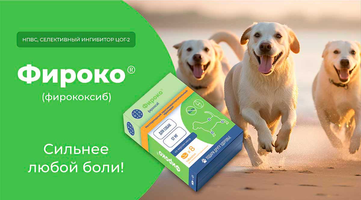 firoko-57mg-8-tabletok-dlya-sobak