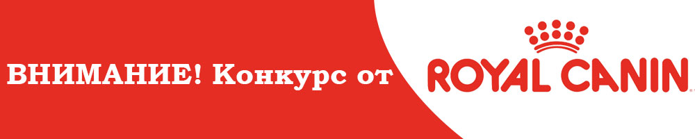 Конкурс от Роял Канин