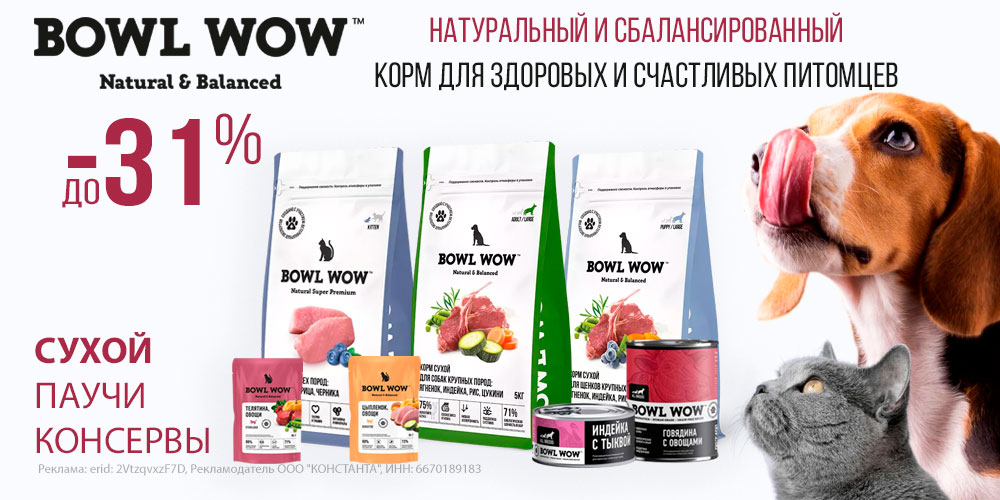 Акция на корм Bowl Wow для кошек и собак. Скидка до 31%