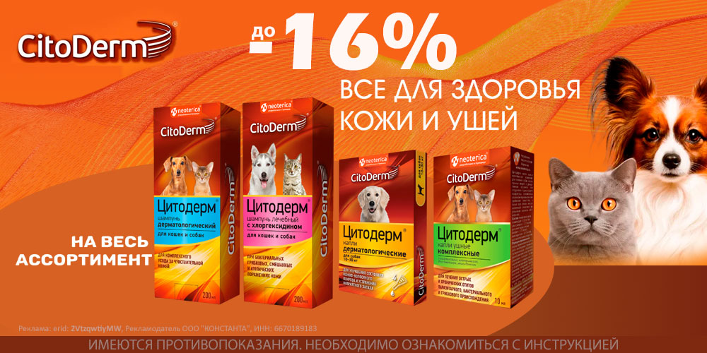 Акция на CitoDerm шампуни и капли для кошек и собак. Скидка до 16%