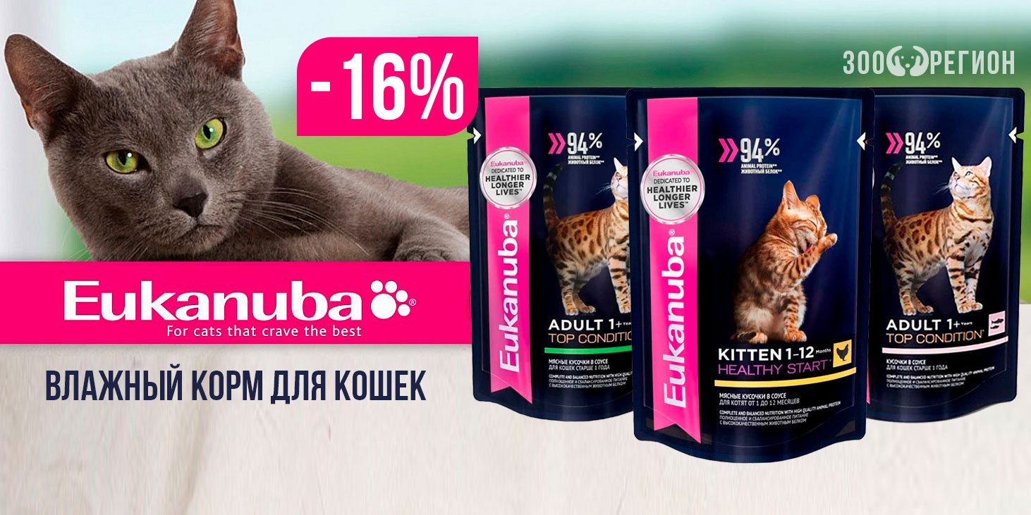 Акция Eukanuba для кошек! Влажный корм со скидкой 16%!
