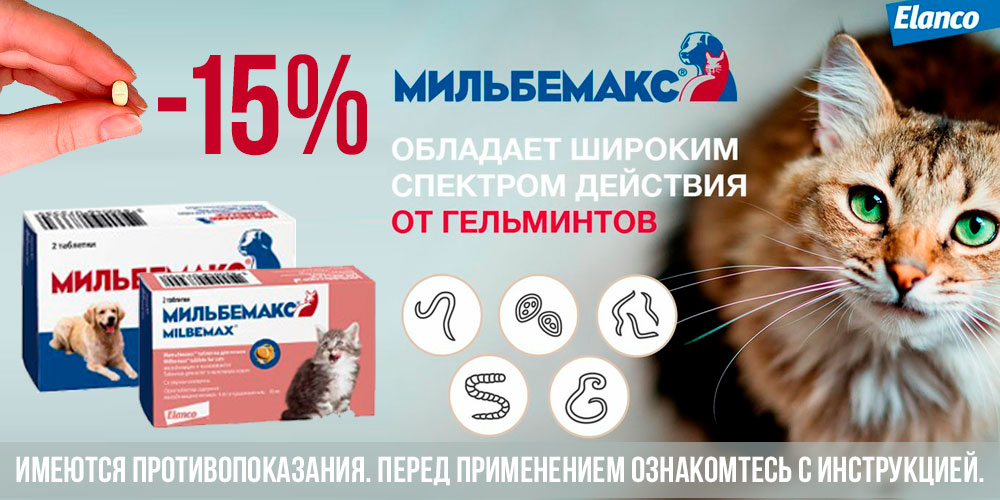 Акция на МИЛЬБЕМАКС для кошек и собак ELANCO! Скидка 15%!