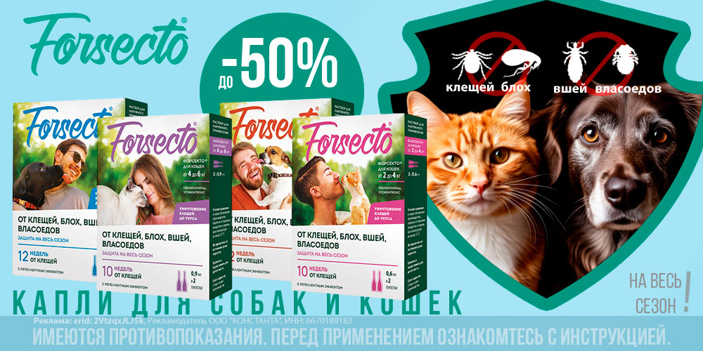 Акция на Forsecto капли от блох и клещей для кошек и собак. Скидка до 50%