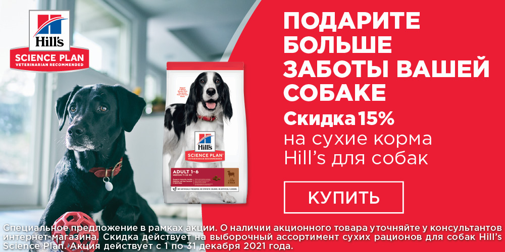 Лекарства Для Животных Интернет Магазин Москва