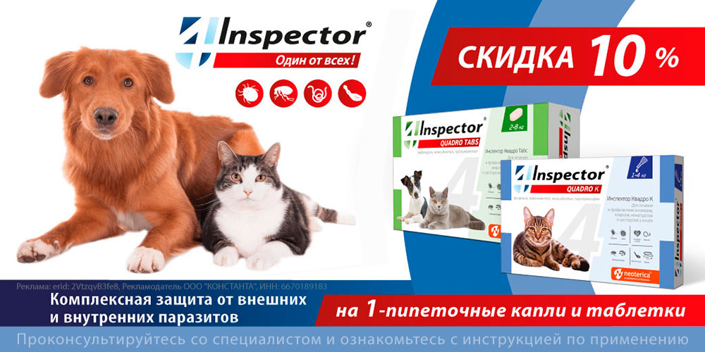Акция на капли и таблетки INSPECTOR для кошек и собак от паразитов. Скидка до 11%