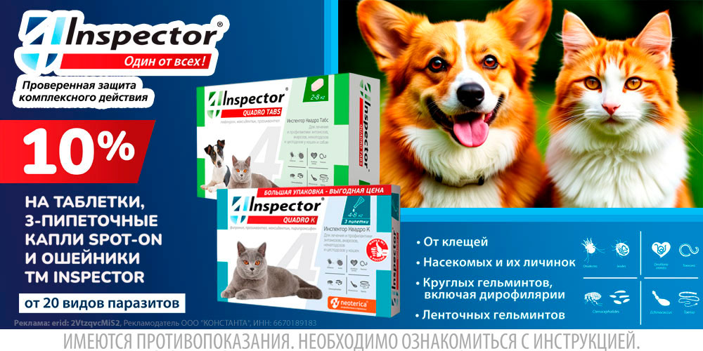Акция на Inspector капли, ошейники и таблетки для кошек и собак от паразитов. Скидка 10%