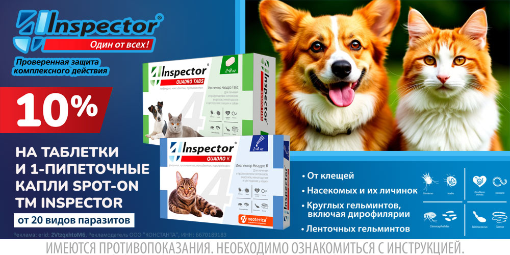 Акция на капли и таблетки Inspector для кошек и собак от паразитов. Скидка 10%