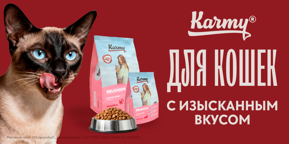 Karmy сухой и влажный корм для кошек и котят