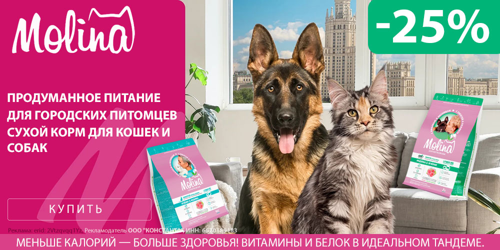 Акция на Molina сухой корм для кошек и собак. Скидка 25%