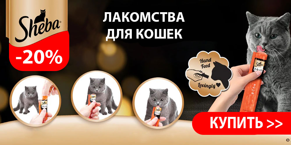 Колесо Для Кошки Купить В Интернет Магазине