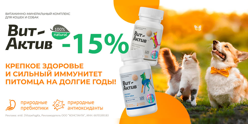 Акция на витамины ВИТ-АКТИВ для кошек и собак. Скидка 15%