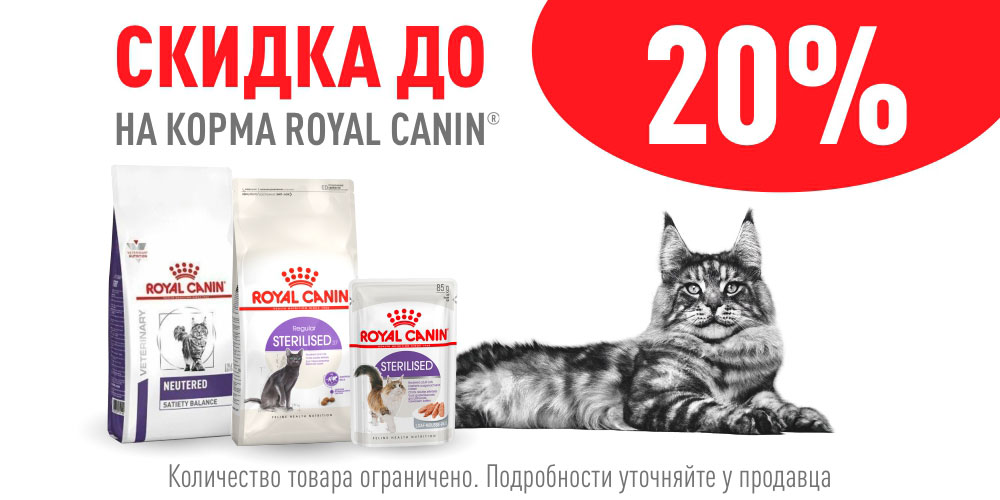 Чёрная пятница от Royal Canin! Сухой и влажный корм для кошек Royal Canin со скидкой 20%!