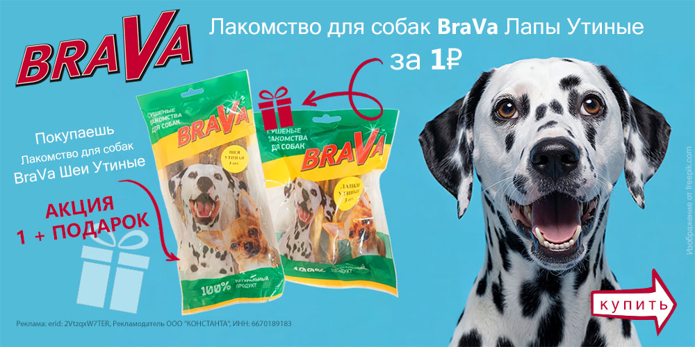 Акция на лакомства для собак BraVa 1 + подарок за 1 рубль