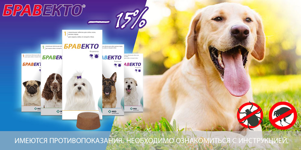 груминг для собак екатеринбург. груминг для собак екатеринбург. салон для собак. груминг для собак екатеринбург. парикмахерская для собак.