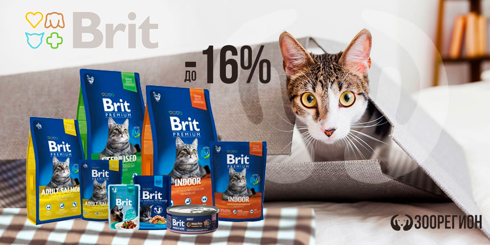 Акция на корм для кошек Brit! Скидка 15%!