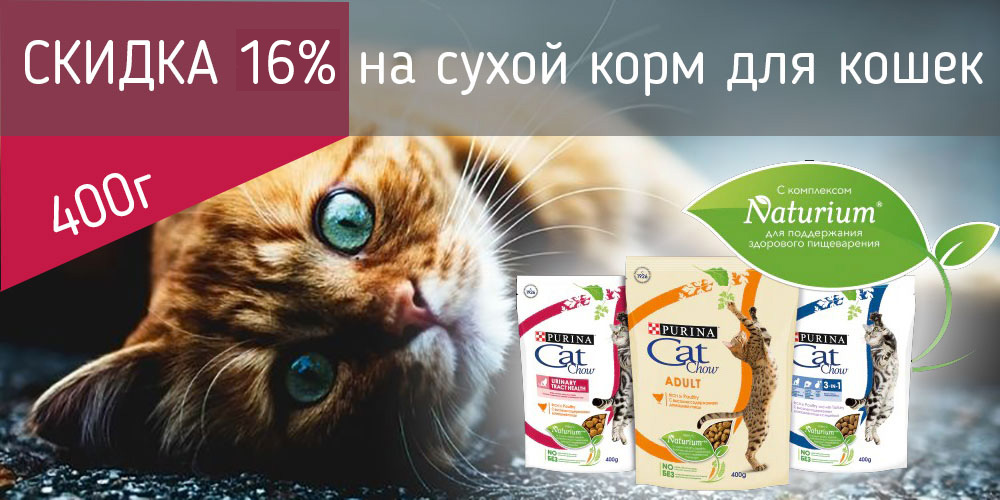 Акция скидка 15% на корма для животных к Дню кошек 1 марта.