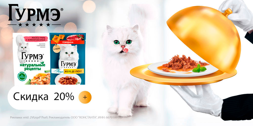 Акция на влажный корм для кошек ГУРМЭ. Скидка 20%