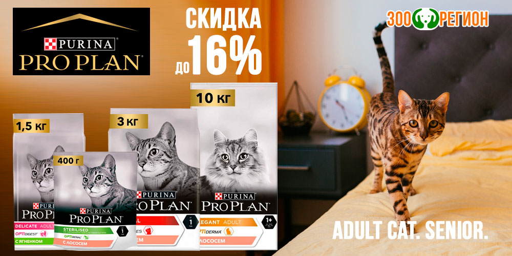 Акция на сухой корм для кошек ProPlan 400г, 1.5кг, 3кг, 10кг. Скидка до 16%!
