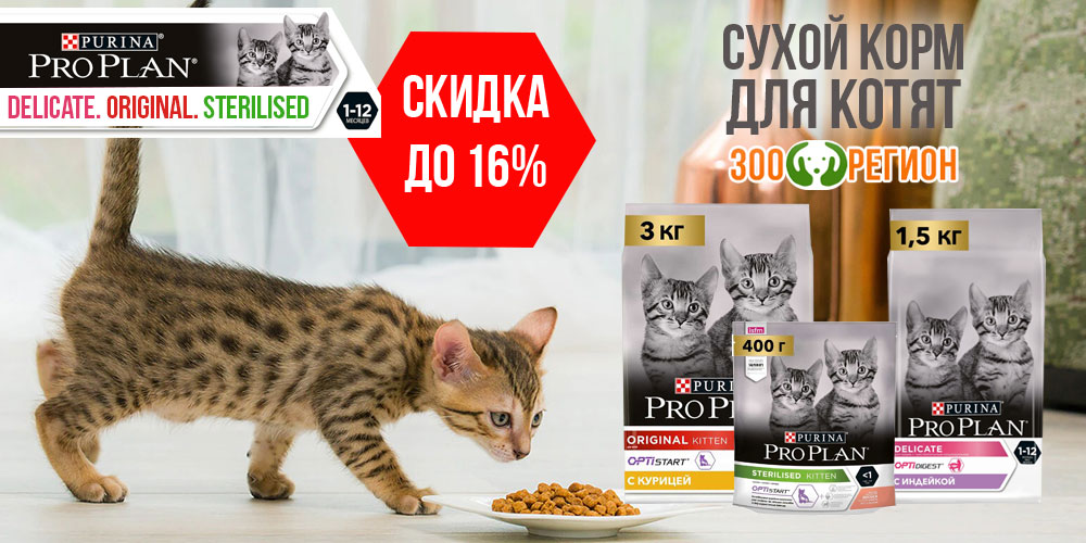 Акция на сухой корм для котят ProPlan 400г, 1.5кг, 3кг, 10кг. Скидка до 16%!