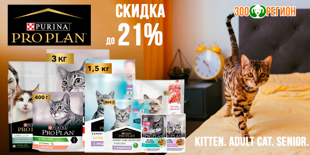 Акция на сухой и влажный корм для кошек и котят PROPLAN! Скидка до 21%!