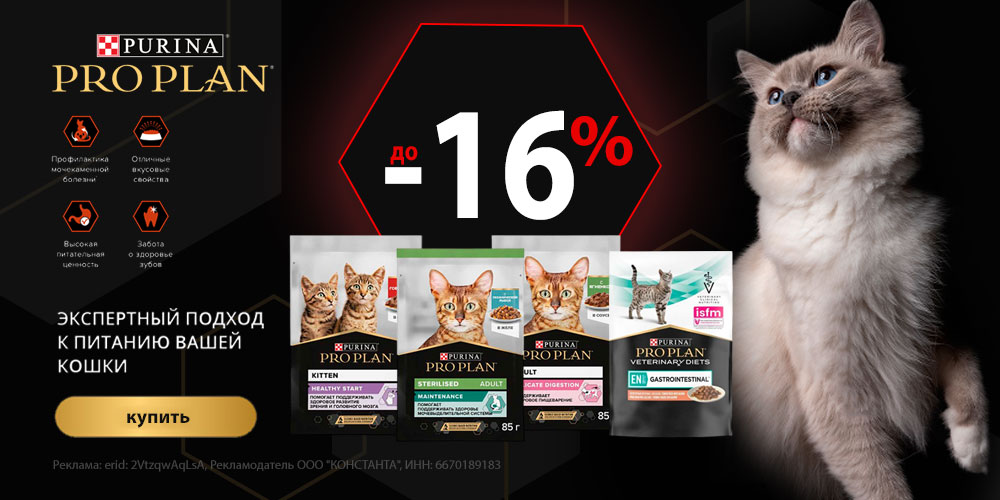Акция на PRO PLAN влажный корм для кошек. Скидка до 16%