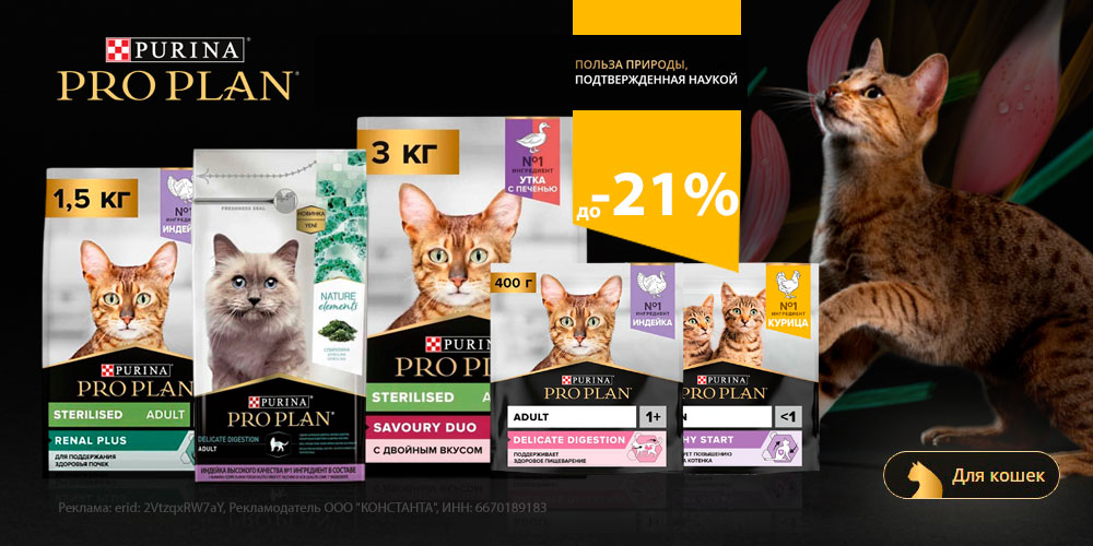 Акция на сухой корм PRO PLAN для кошек и котят. Скидка до 21%