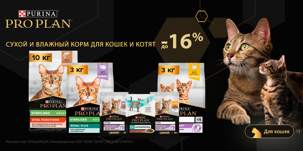 Акция на корм PRO PLAN для кошек и котят. Скидка до 16%