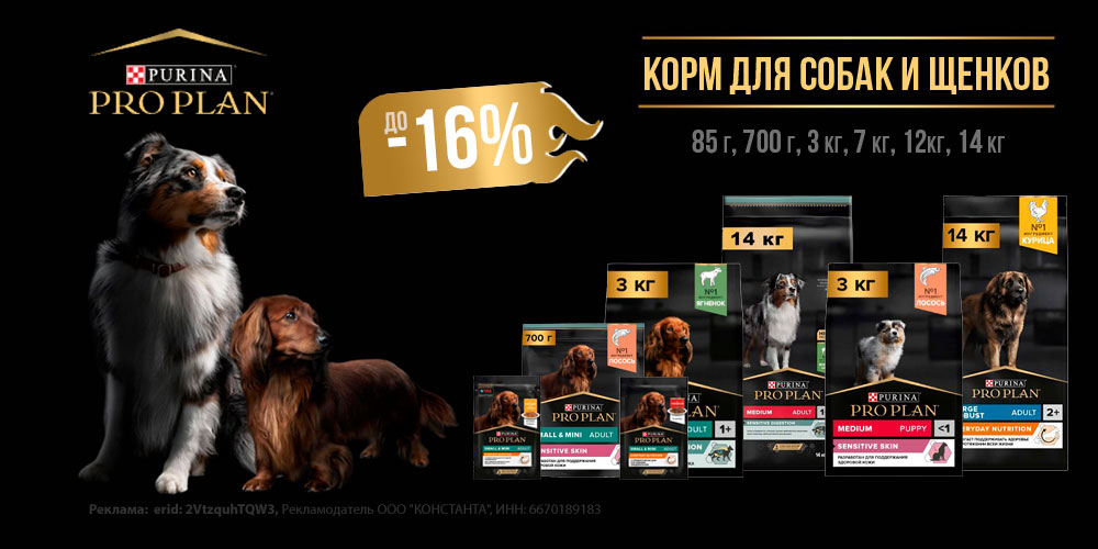 Акция на корм для собак и щенков PRO PLAN. Скидка до 16%