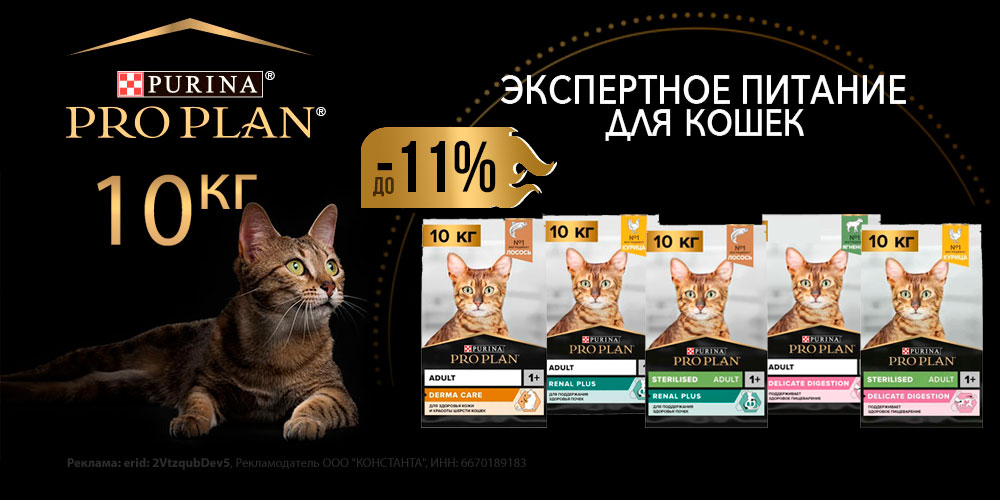 Акция на сухой корм для кошек PRO PLAN 10кг! Скидка до 11%!