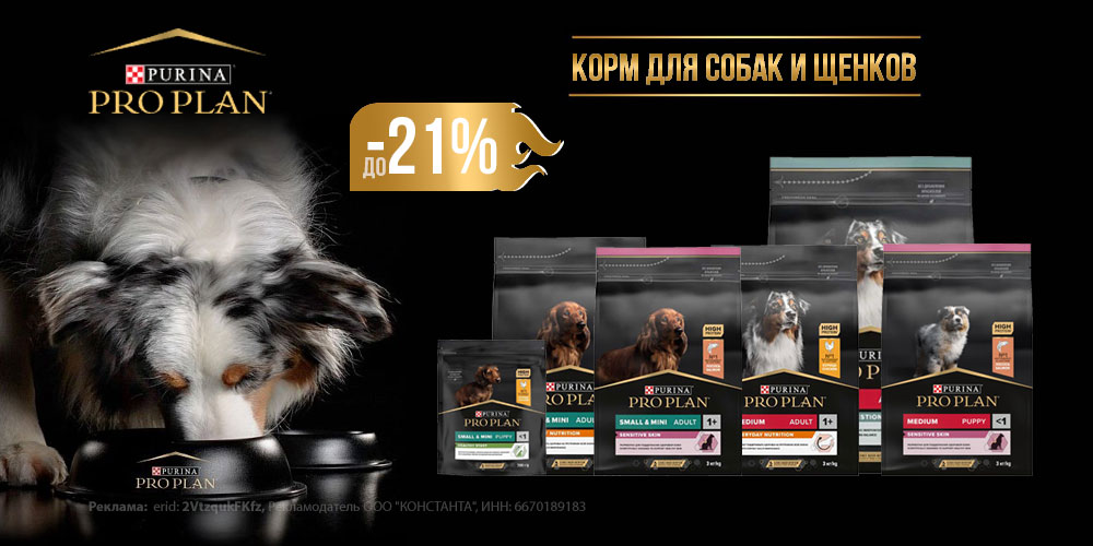 Акция на корм для собак и щенков PRO PLAN! Скидка до 21%!