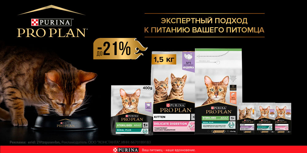 Акция на корм для кошек и котят PRO PLAN! Скидка до 21%!