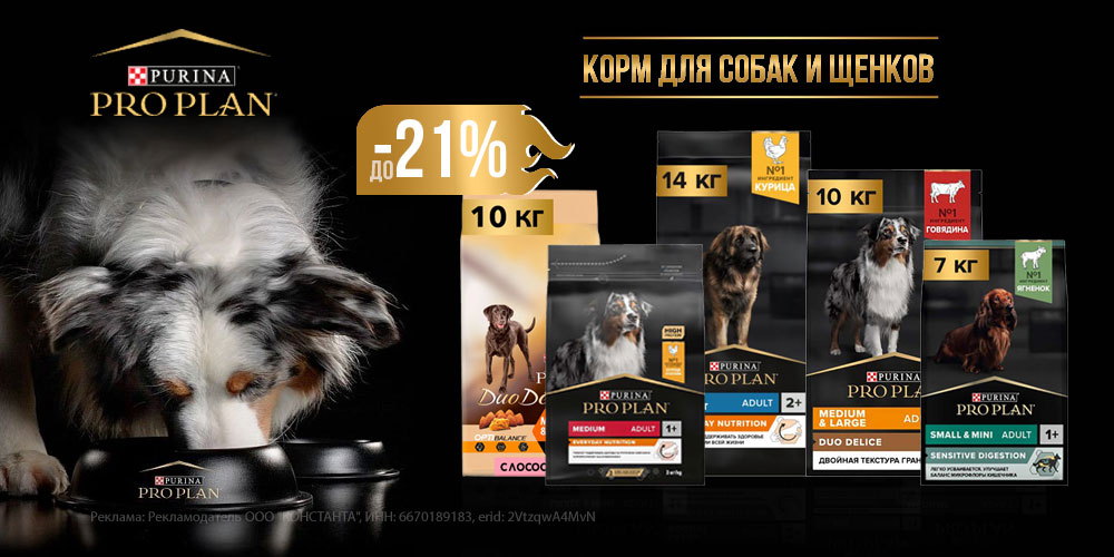 Акция на корм для собак и щенков PROPLAN! Скидка до 21%!