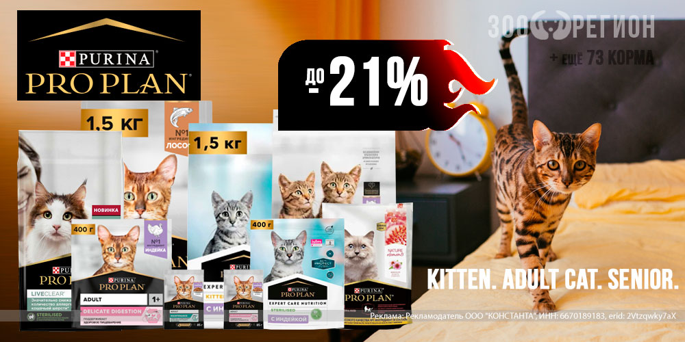 Акция на влажный и сухой корм для кошек PROPLAN! Скидка до 21%!