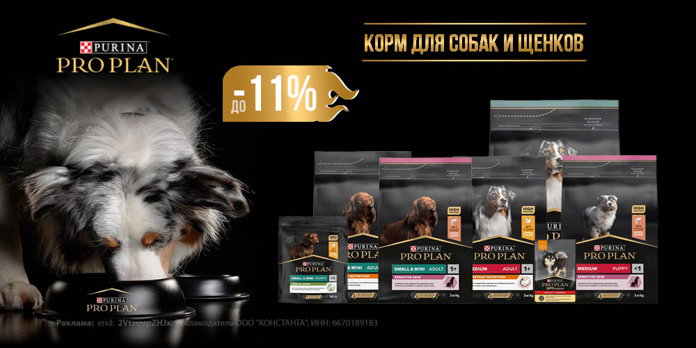 Акция на корм для собак и щенков PRO PLAN! Скидка до 11%!