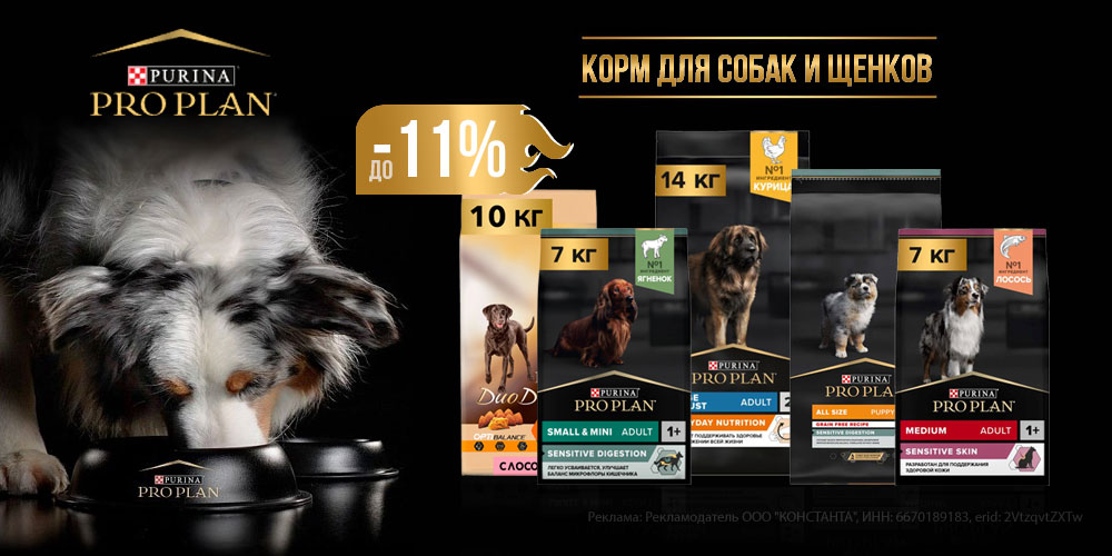 Акция на корм для собак и щенков PROPLAN! Скидка до 11%!