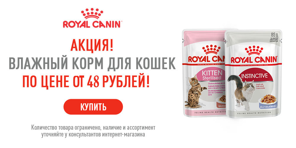 Скидка 15 % royal canin для кошек. Зоомагазин royal canin. Скидка 15% на роял канин. Роял канин гигант джуниор профессионал. Роял канин акция.