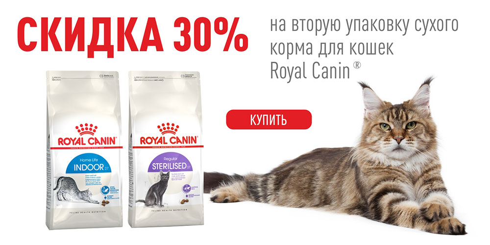 Акция на сухой корм для кошек Royal Canin! Скидка 30% на вторую упаковку аналогичного корма!
