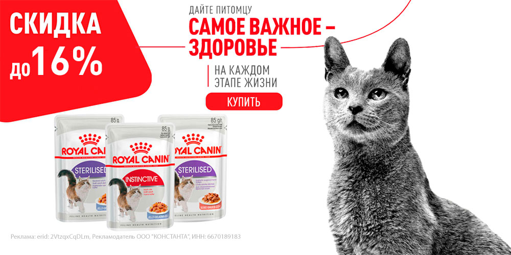 Акция на ROYAL CANIN! Влажный корм для кошек! Скидка до 16%!