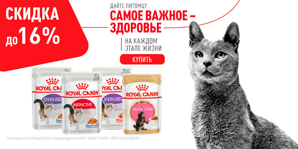 Акция на ROYAL CANIN! Влажный корм для кошек и котят! Скидка до 16%!