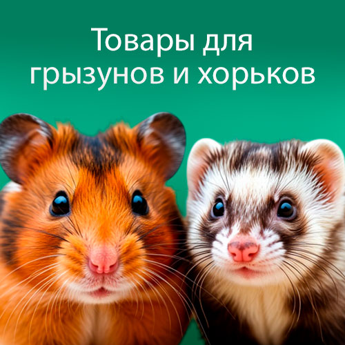 Грызуны и Хорьки