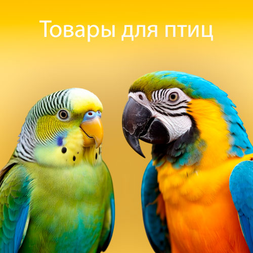 Птицы