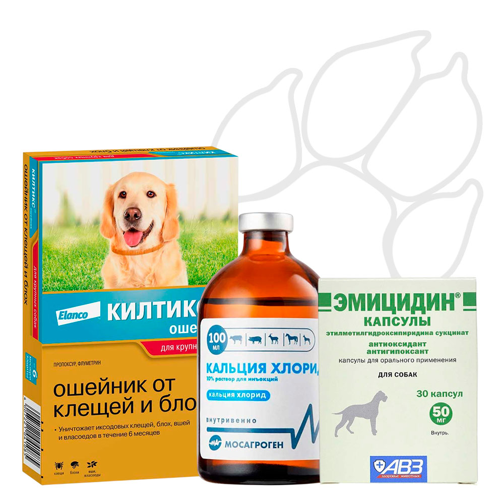 Ветаптека для собак